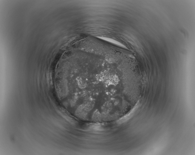 X0000112890182200909041709