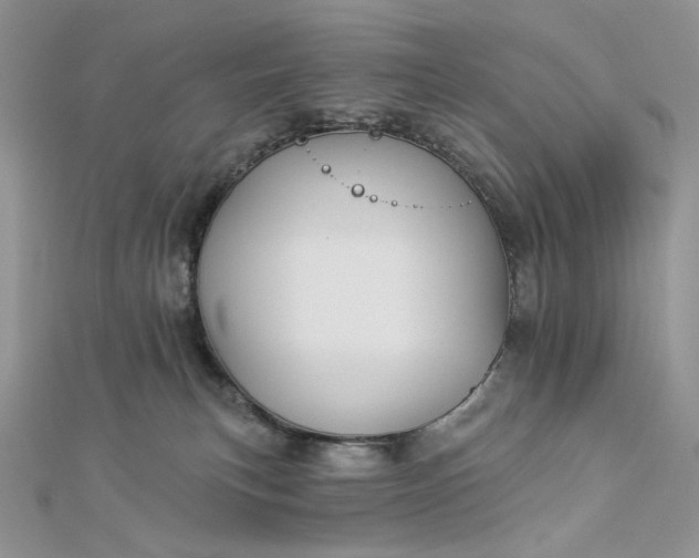 X0000112890183200909041709