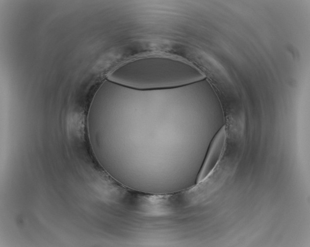 X0000112890184200909041709
