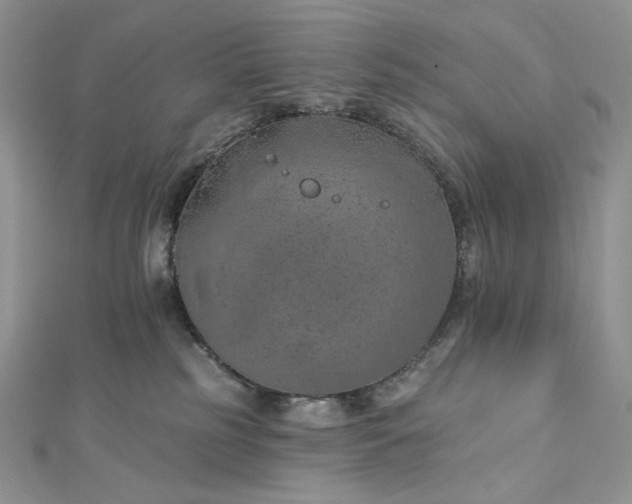 X0000112890185200909041709