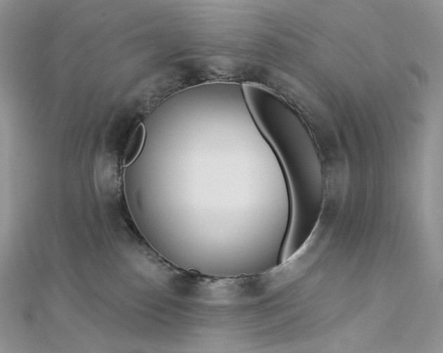 X0000112890186200909041709