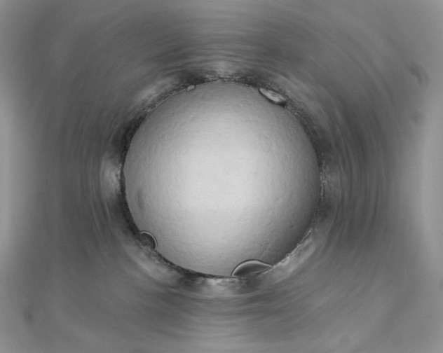 X0000112890188200909041709