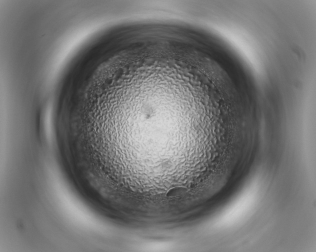 X0000112890189200909041709