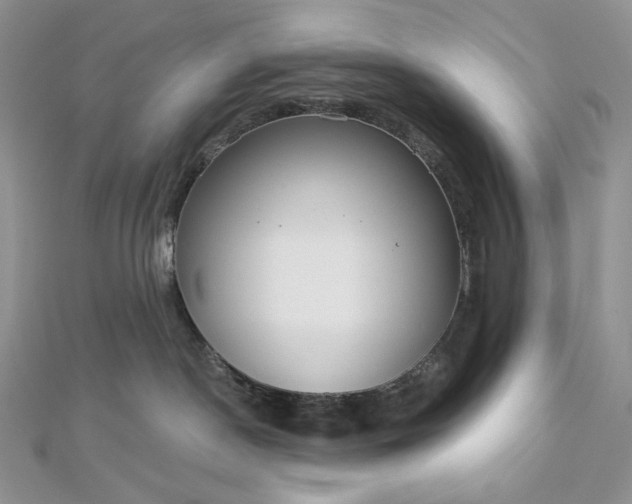 X0000112890190200909041709