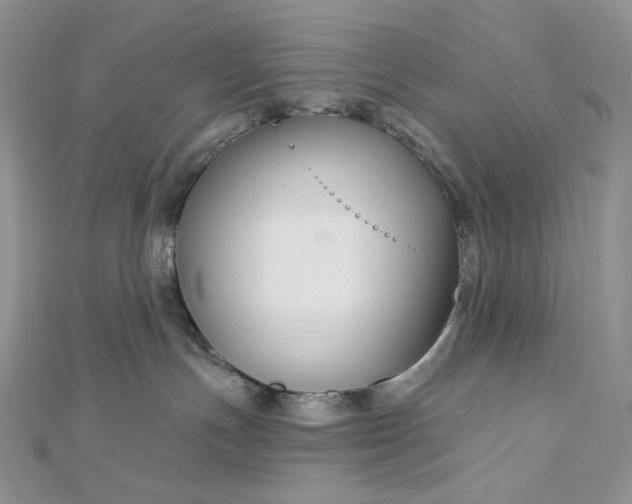 X0000112890191200909041709