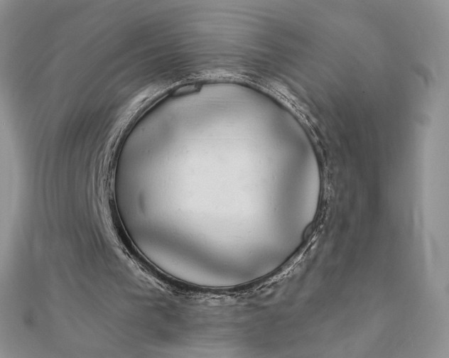 X0000112890193200909041709