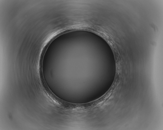 X0000112890196200909041709