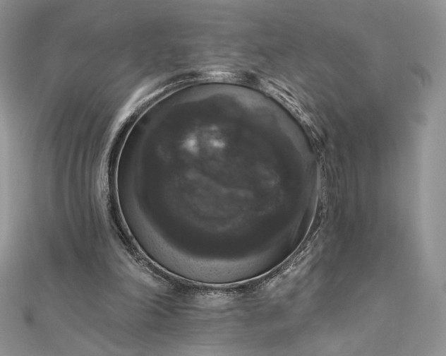 X0000112890198200909041709