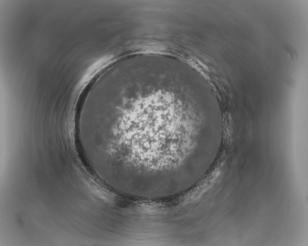 X0000112890199200909041709