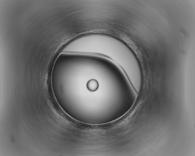 X0000112890201200909041709