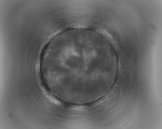X0000112890202200909041709