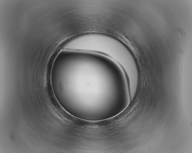 X0000112890203200909041709