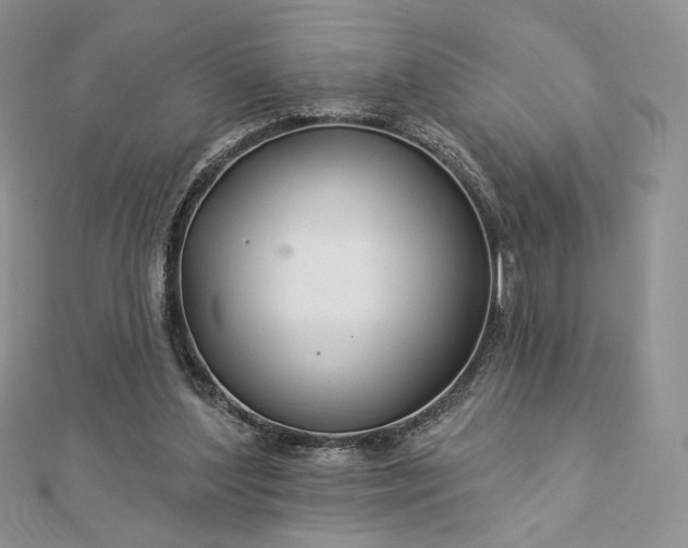 X0000112890204200909041709