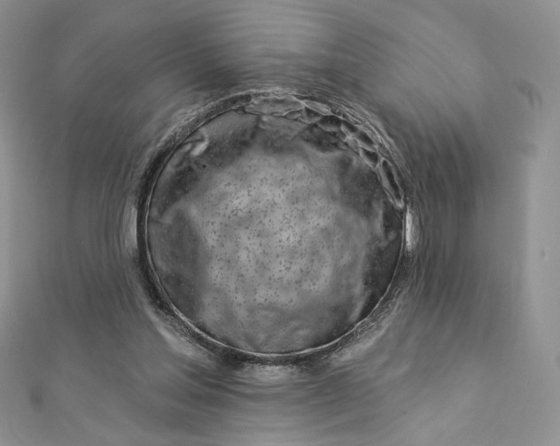 X0000112890205200909041709