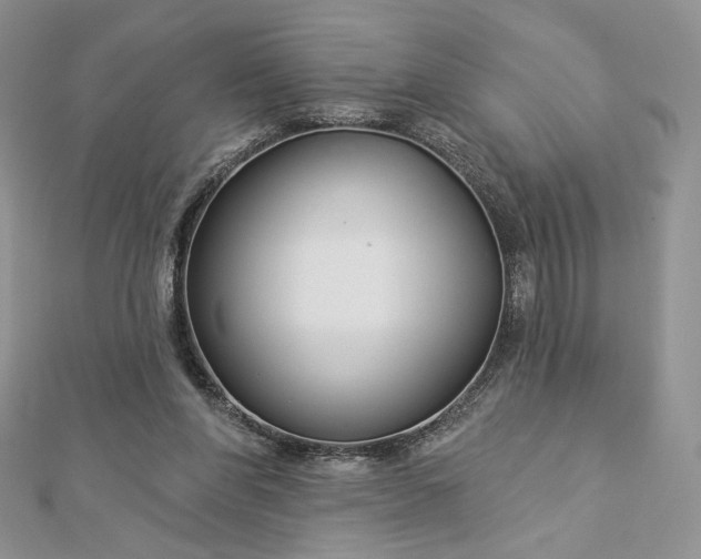 X0000112890206200909041709