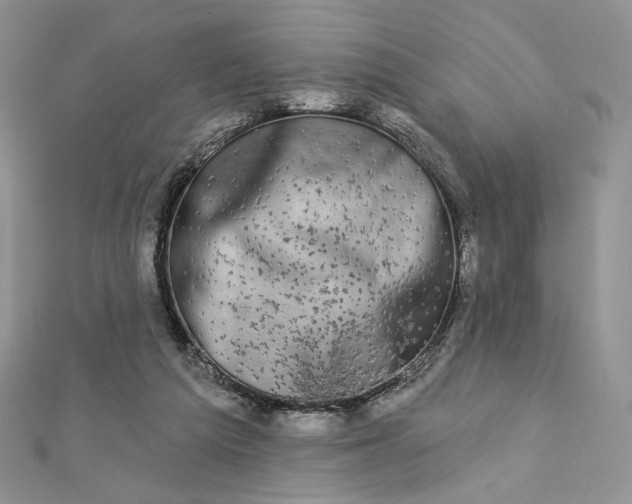 X0000112890209200909041708