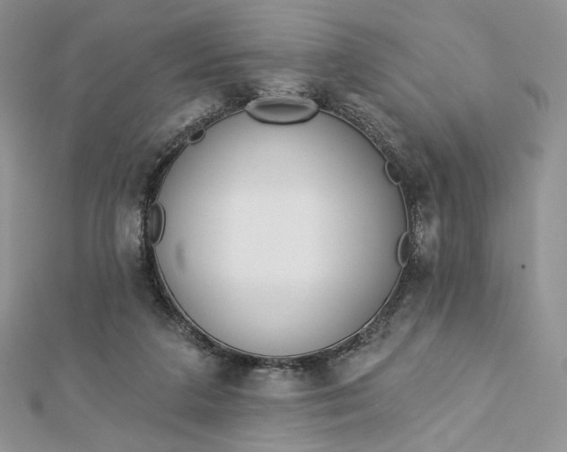 X0000112890211200909041708