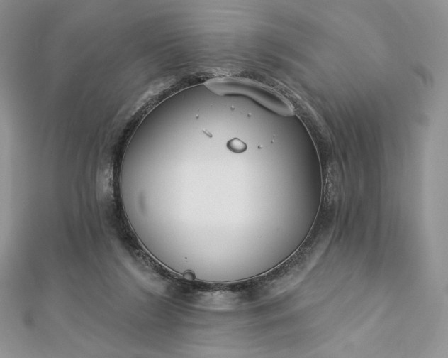 X0000112890212200909041708