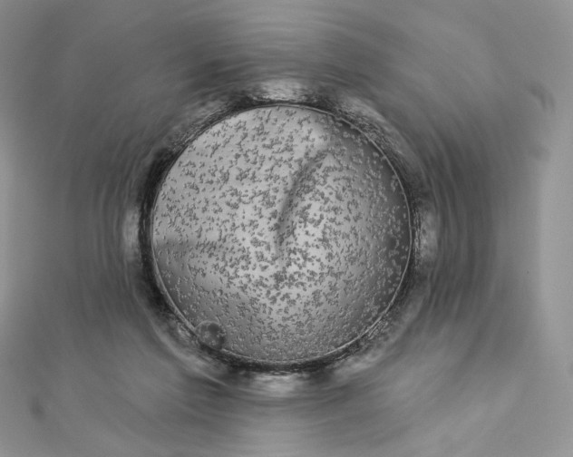 X0000112890213200909041708