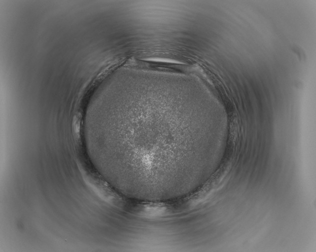 X0000112890214200909041708