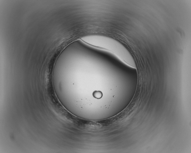 X0000112890215200909041708