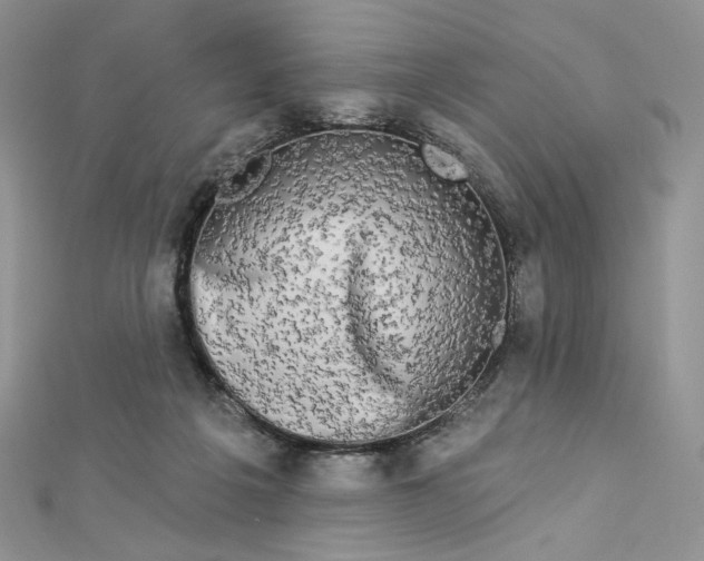 X0000112890217200909041708