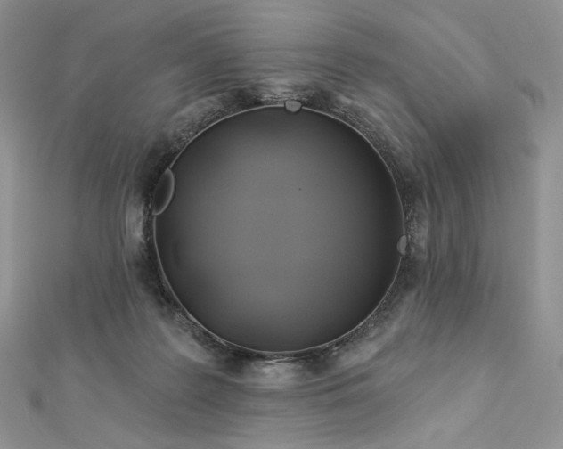 X0000112890219200909041708