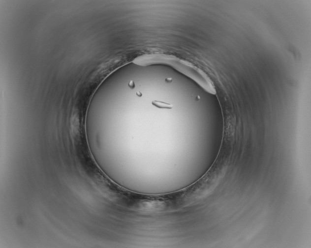 X0000112890220200909041708