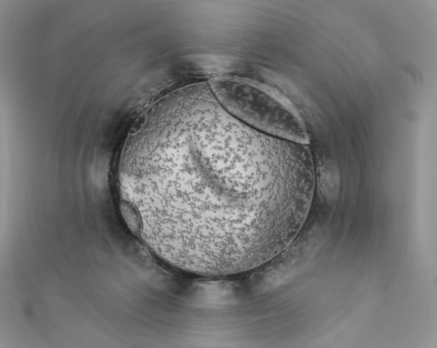 X0000112890221200909041708