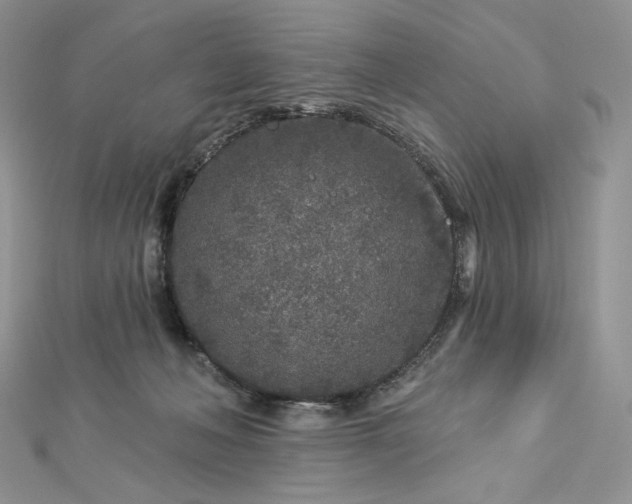 X0000112890222200909041708