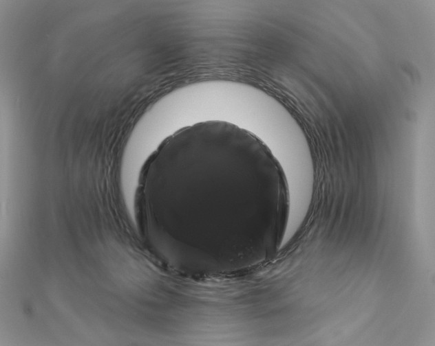 X0000112890223200909041708