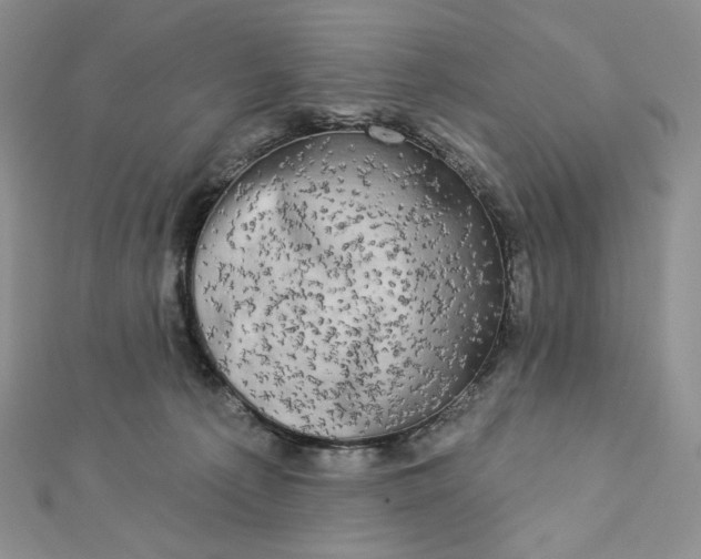 X0000112890225200909041708