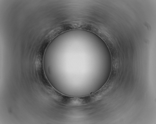 X0000112890226200909041708