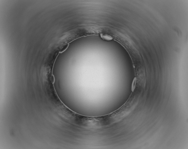 X0000112890229200909041708