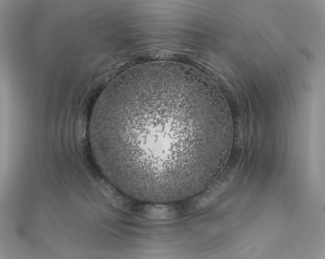 X0000112890230200909041708
