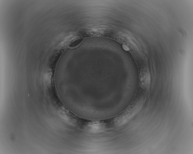 X0000112890231200909041708