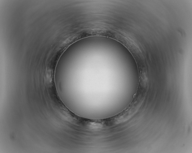 X0000112890232200909041708