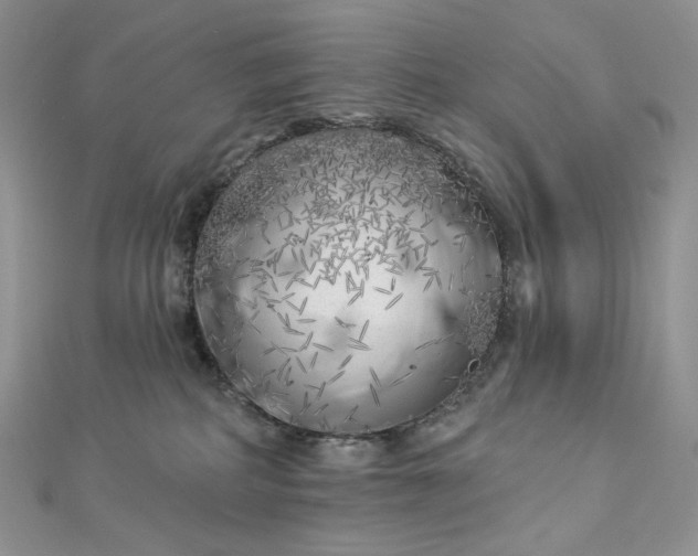 X0000112890234200909041708