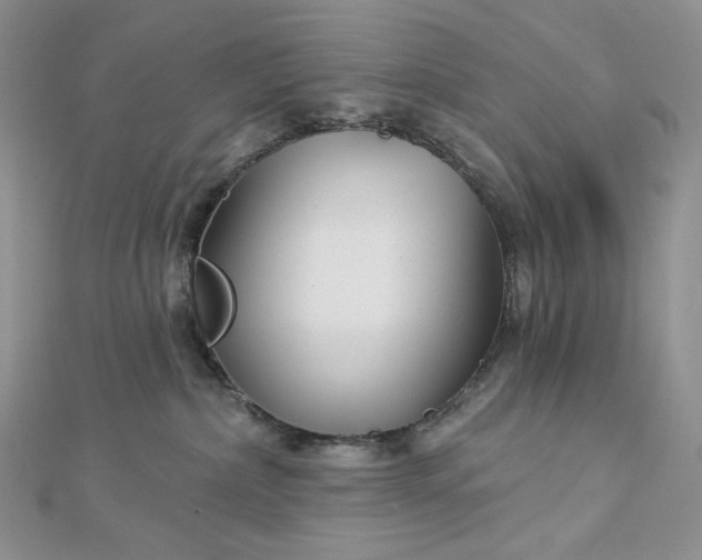 X0000112890236200909041708