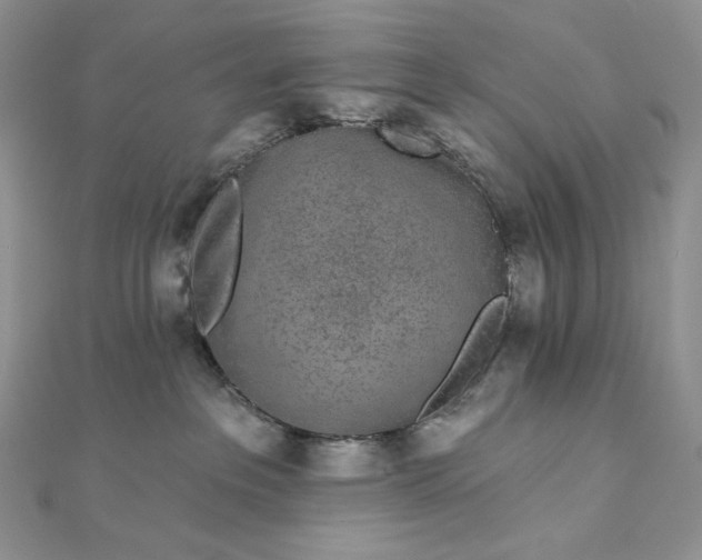 X0000112890237200909041708
