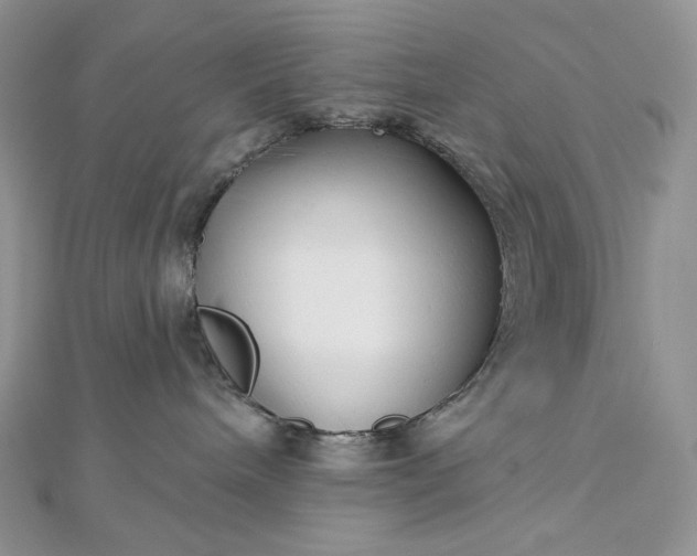 X0000112890240200909041708