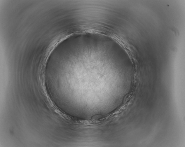 X0000112890241200909041707