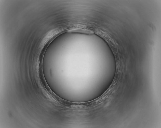 X0000112890242200909041707