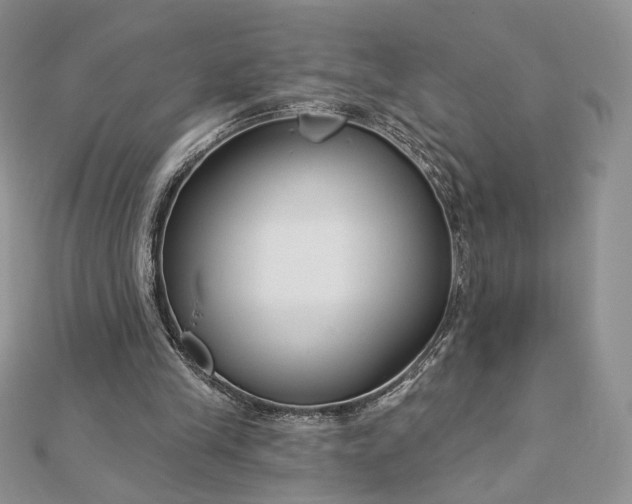 X0000112890245200909041708