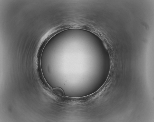X0000112890246200909041708