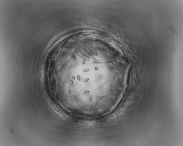 X0000112890247200909041708