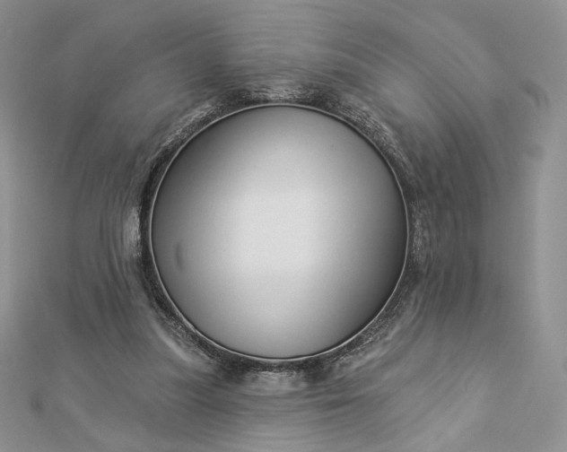 X0000112890251200909041708