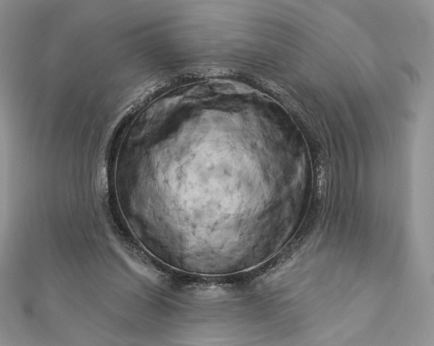 X0000112890254200909041708