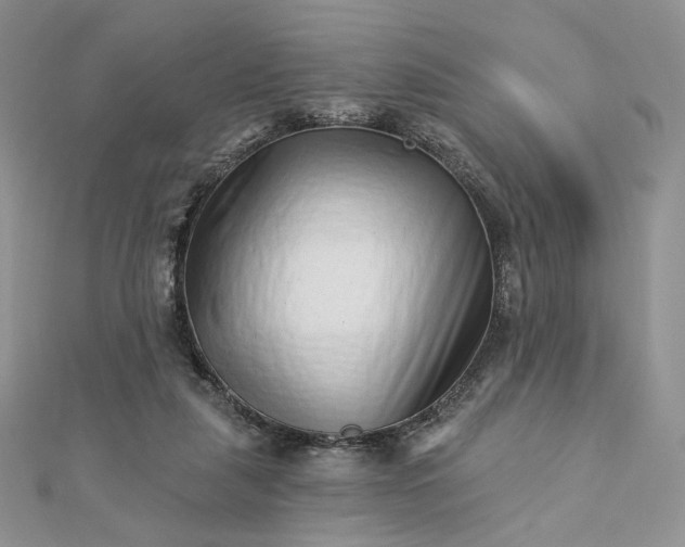 X0000112890259200909041708