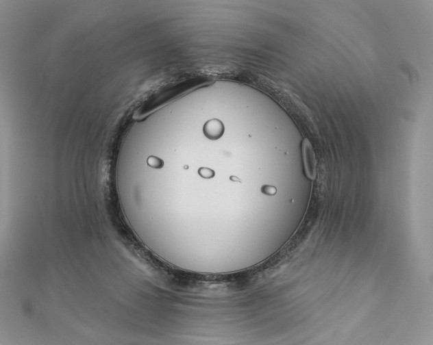 X0000112890260200909041708